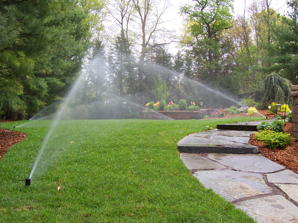 Read more about the article How Often You Should Water Your Lawn in Michigan?