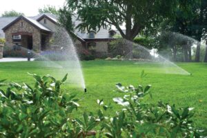 Read more about the article 4 Types of Irrigation Systems for Lawn Care