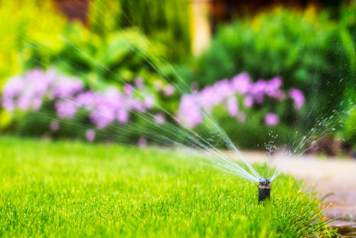 You are currently viewing How Often Do You Water Your Lawn in the Summer?