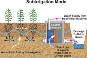 Sub-Irrigation