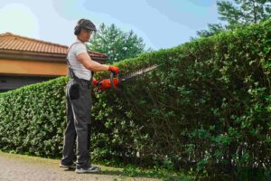 a man using a hedge trimmer