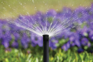Read more about the article How Do I “Winterize” My Irrigation System