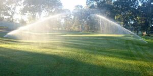 Read more about the article Types of Irrigation