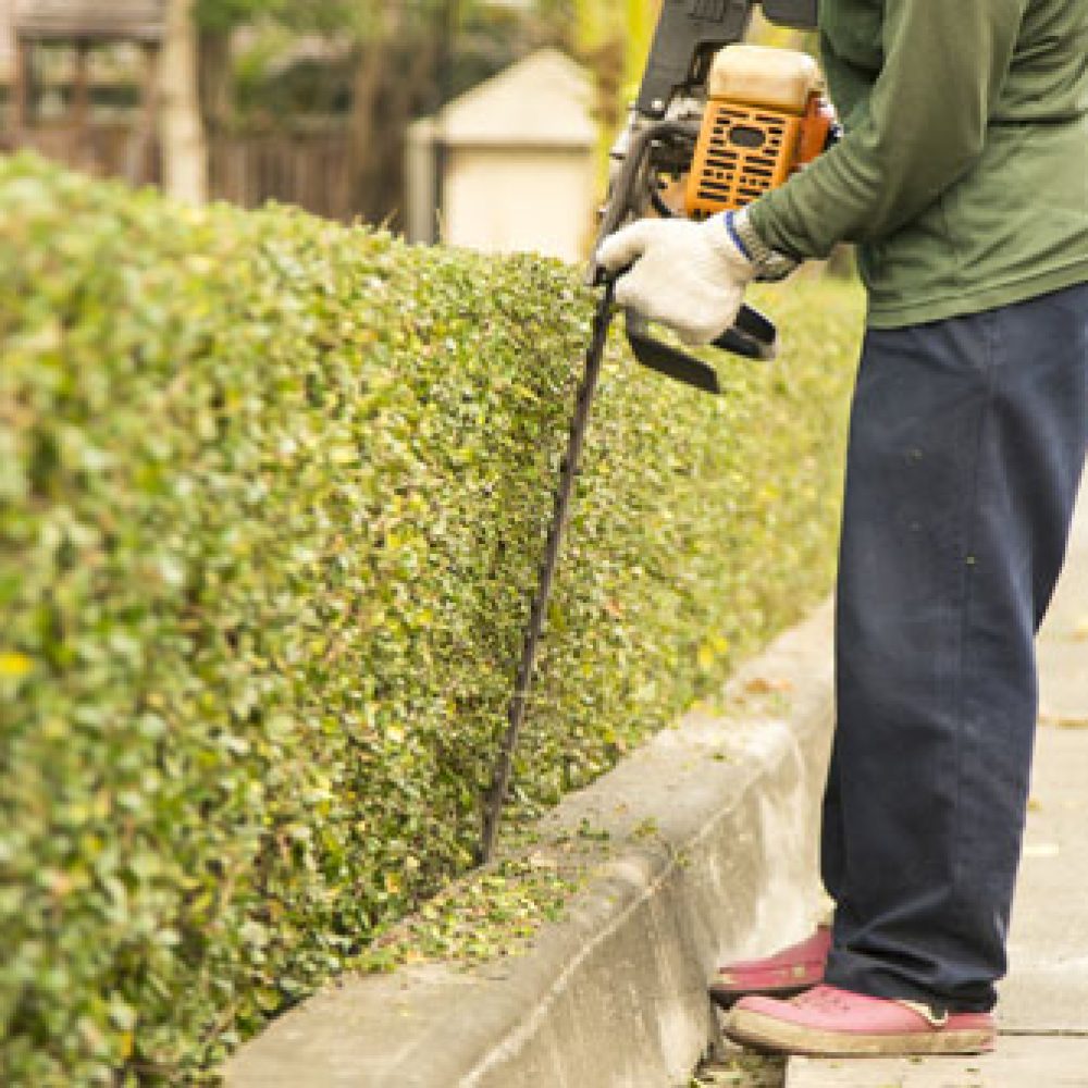 Pruning Maintenance by Preferred Lawn Care